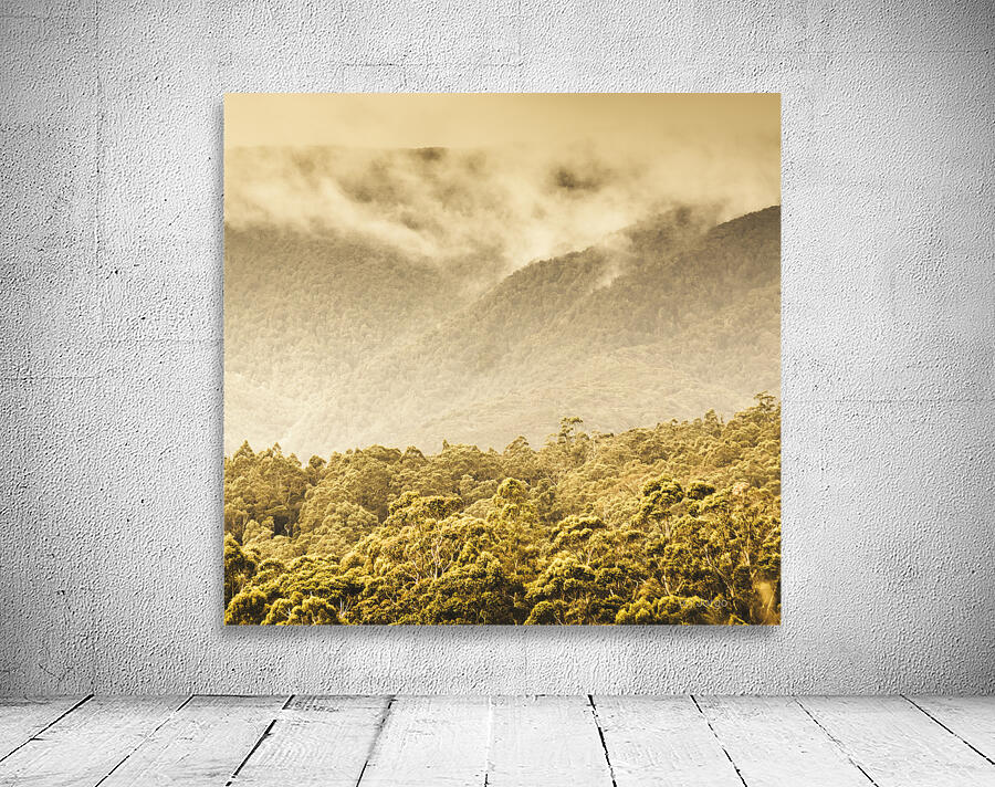 Western woodlands Wall Preview