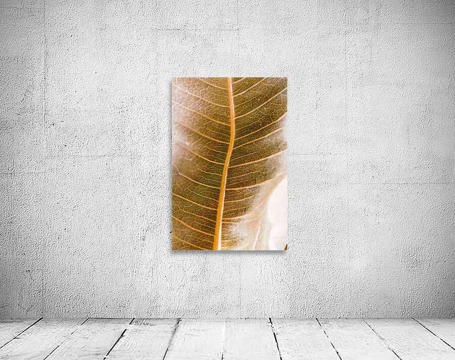 Natures intricacies Wall Preview