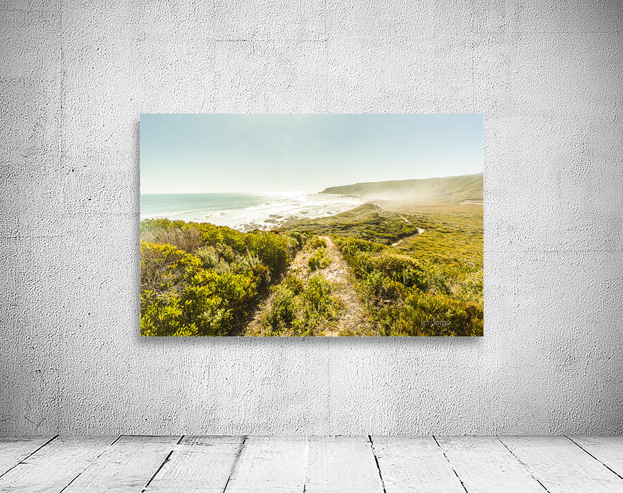 Misty ocean wilderness Wall Preview