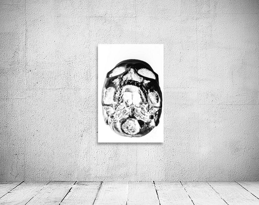 Skulls and dental records Wall Preview