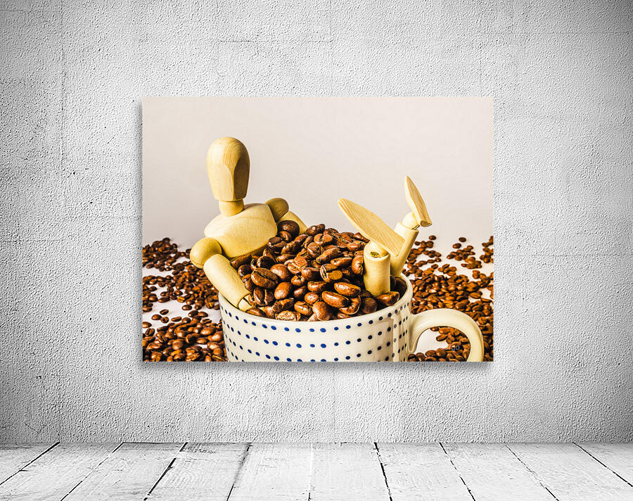 Brewista Wall Preview