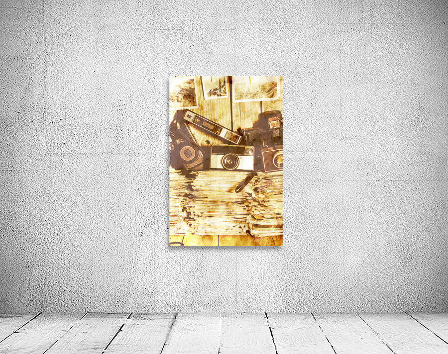 Retro film cameras Wall Preview