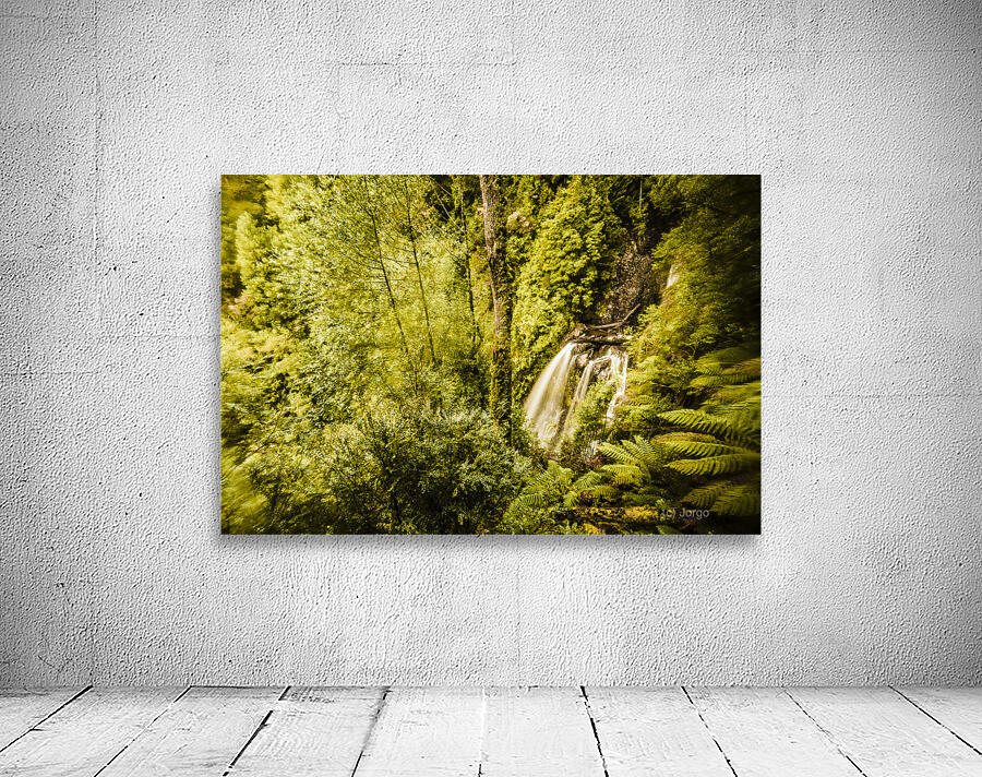 Jungle steams Wall Preview