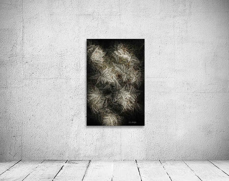 Frost ferns Wall Preview