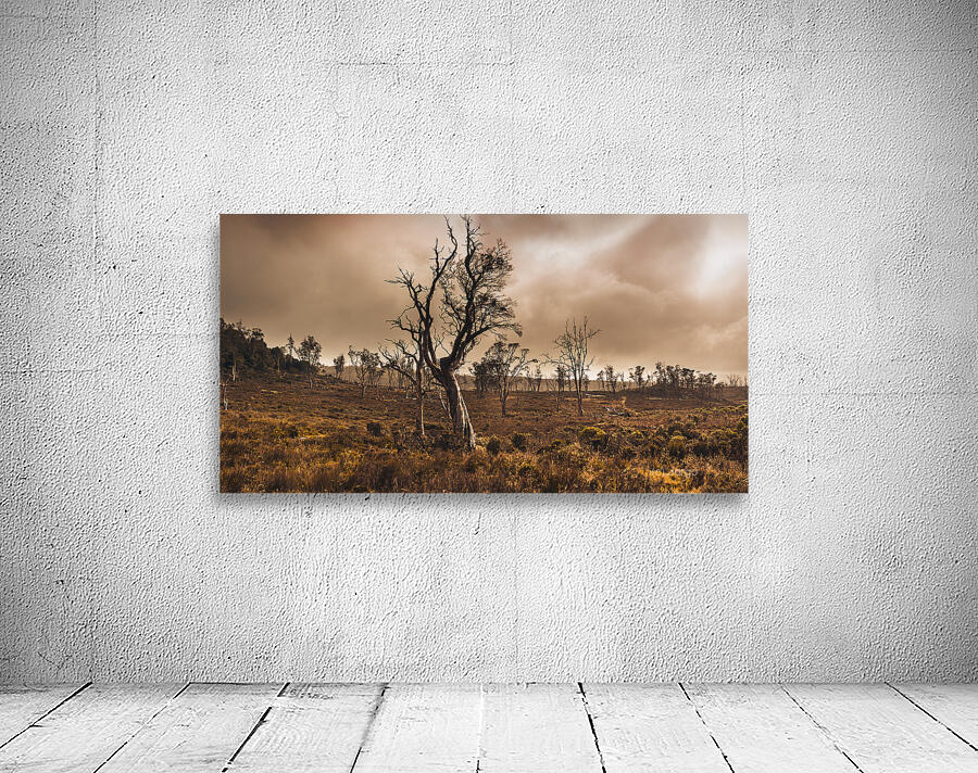 Dark horror landscape of a creepy haunted forest Wall Preview