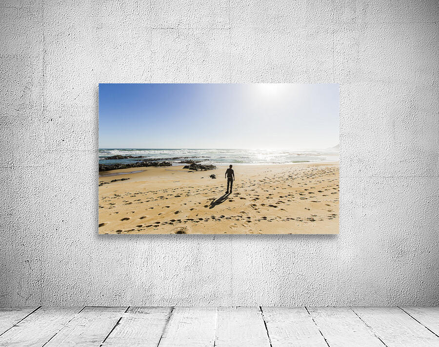 The lone explorer  Wall Preview