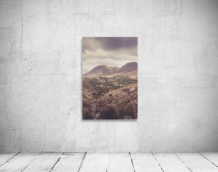 Glorious Gormanston Wall Preview