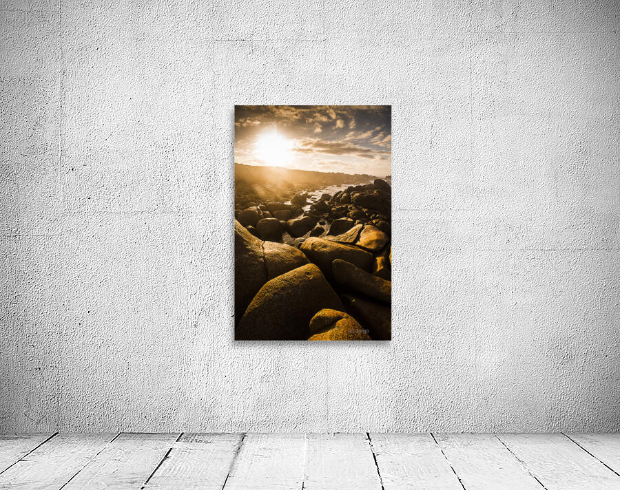 Sun bleached Australia beach Wall Preview