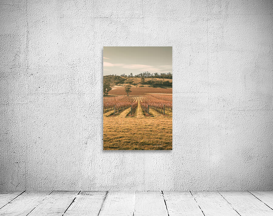 Cranbrook vineyard Wall Preview