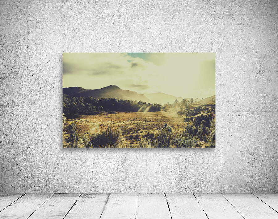 Sun bleached Australia Wall Preview