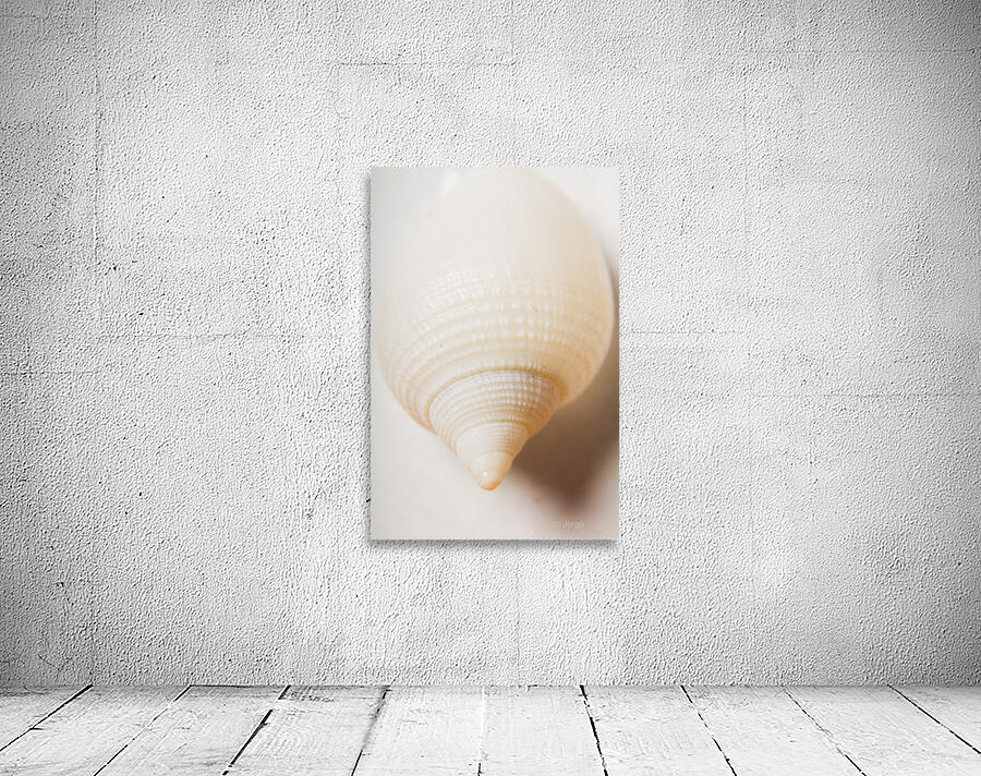 Nautical simplicity Wall Preview