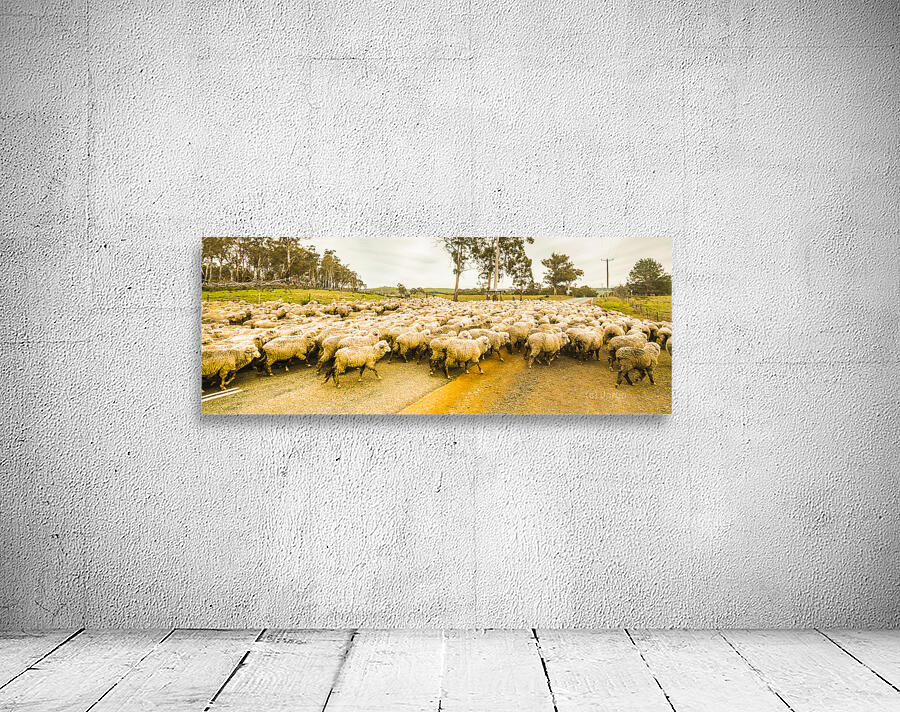 Outback road crossing Wall Preview