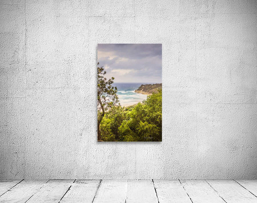 Paradisaical  Wall Preview