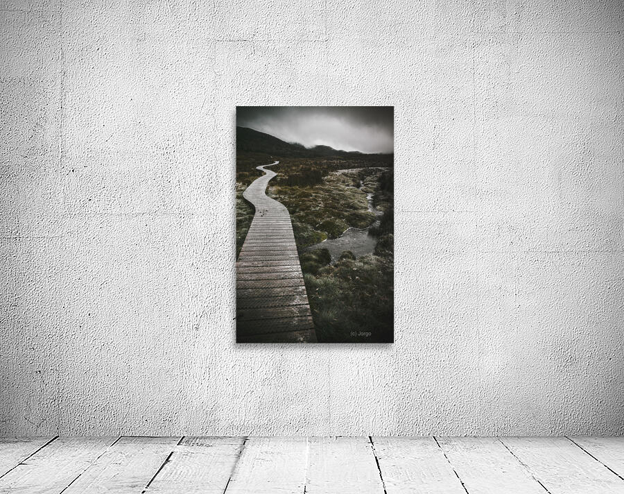 Dark dramatic winter landscape. Path of division Wall Preview