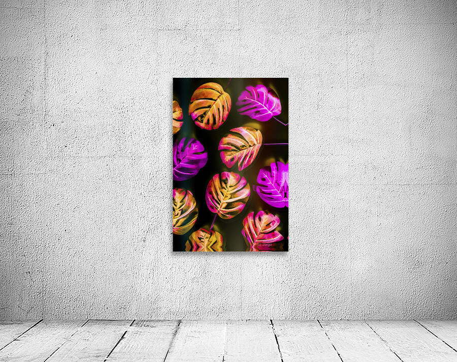 Summer moderns Wall Preview