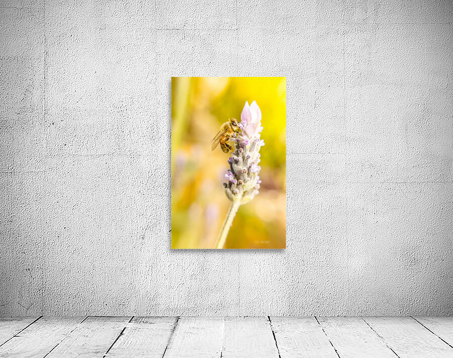 Lavender bee Wall Preview