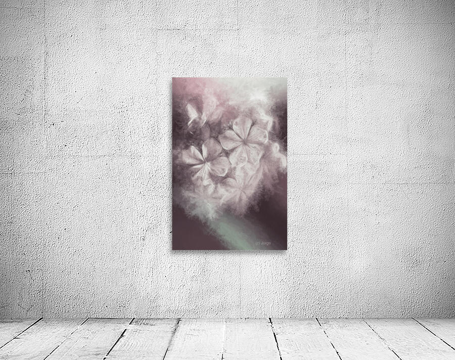 Fibonacci flowers in energy manipulation calculus Wall Preview