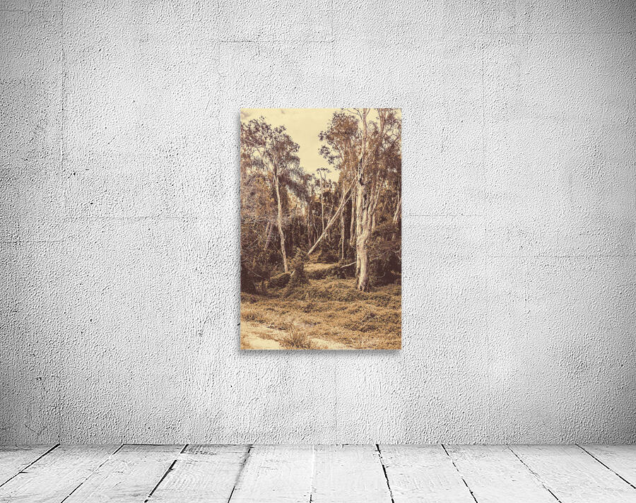 Old Woodery Wall Preview