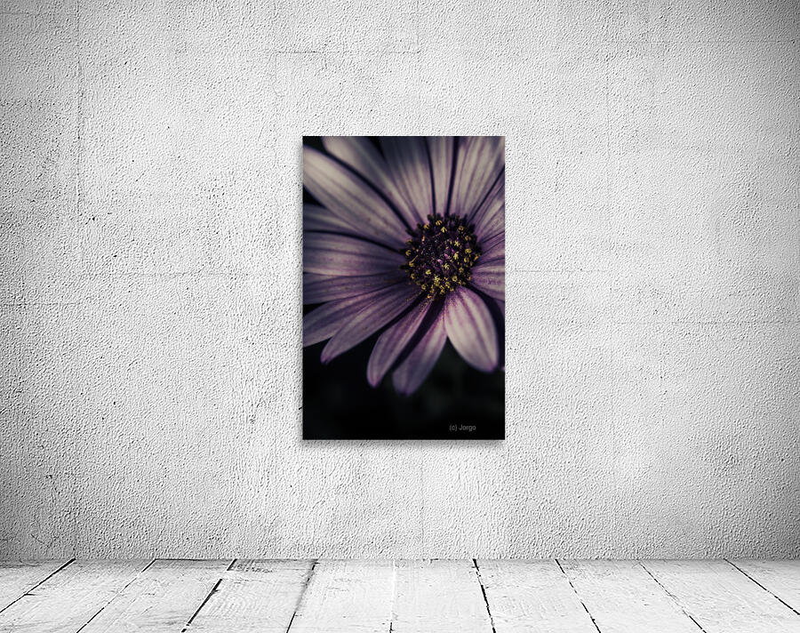 Twilight daisy Wall Preview