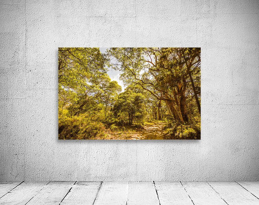 Queensland Wy. Wall Preview