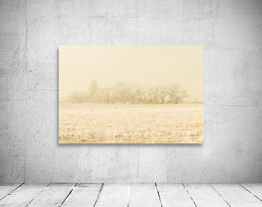 Icy cold foggy woodland Wall Preview