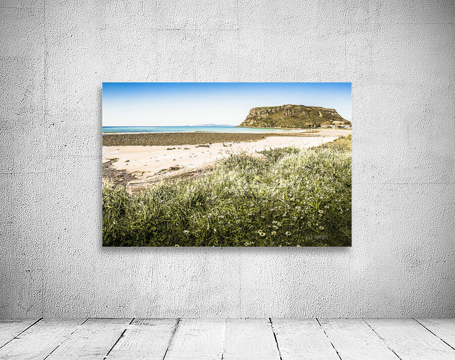 Spectacular Stanley Wall Preview