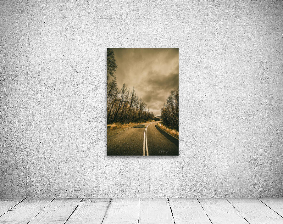 Twists and turns Wall Preview