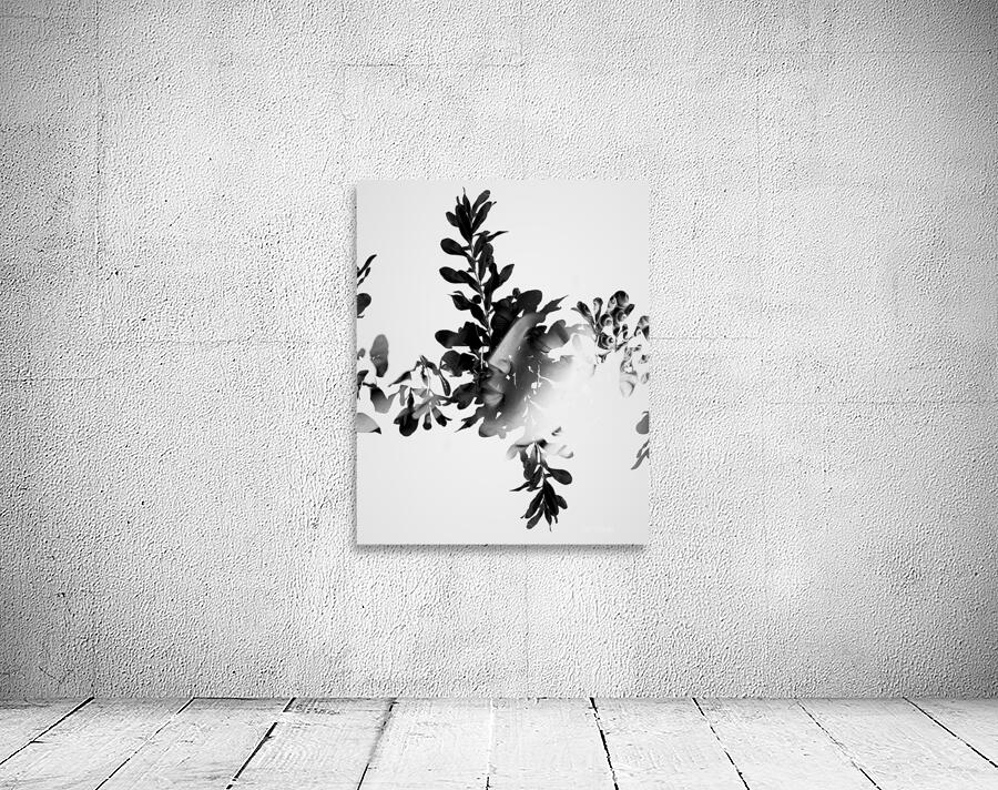 Connection to all that is Wall Preview