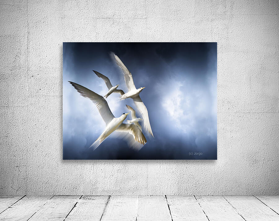 Freedom Wall Preview