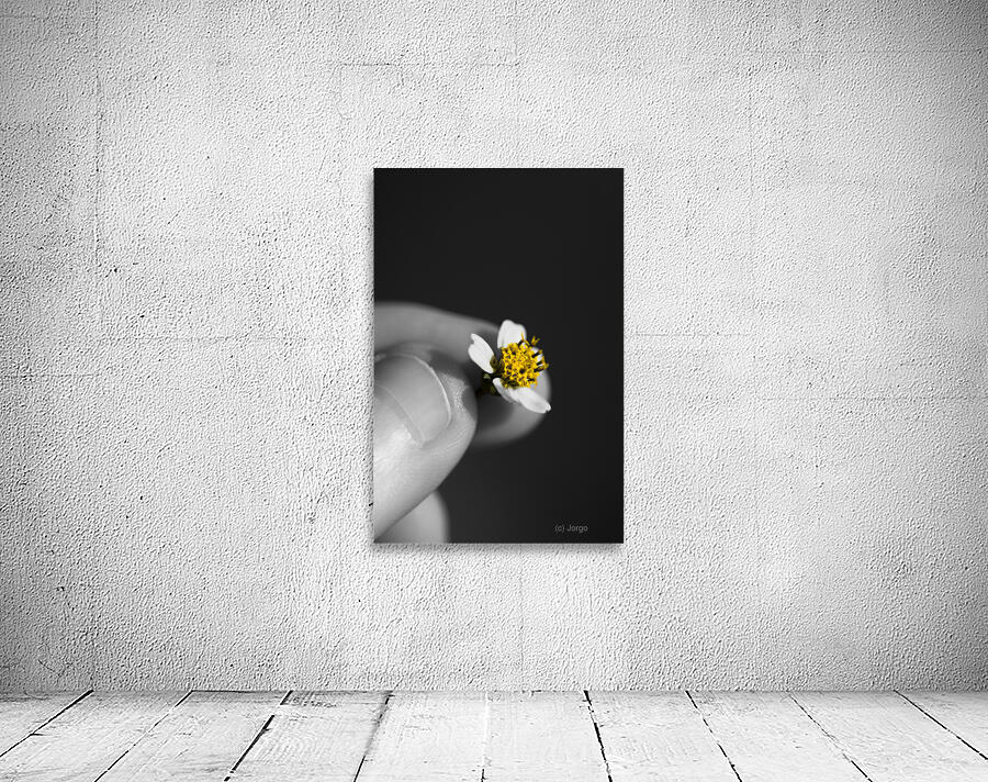 Baby Bloom Wall Preview