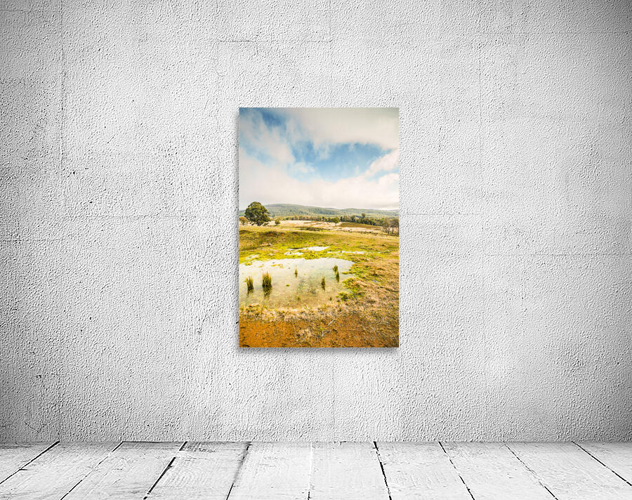 Puddled fields and distant hills Wall Preview