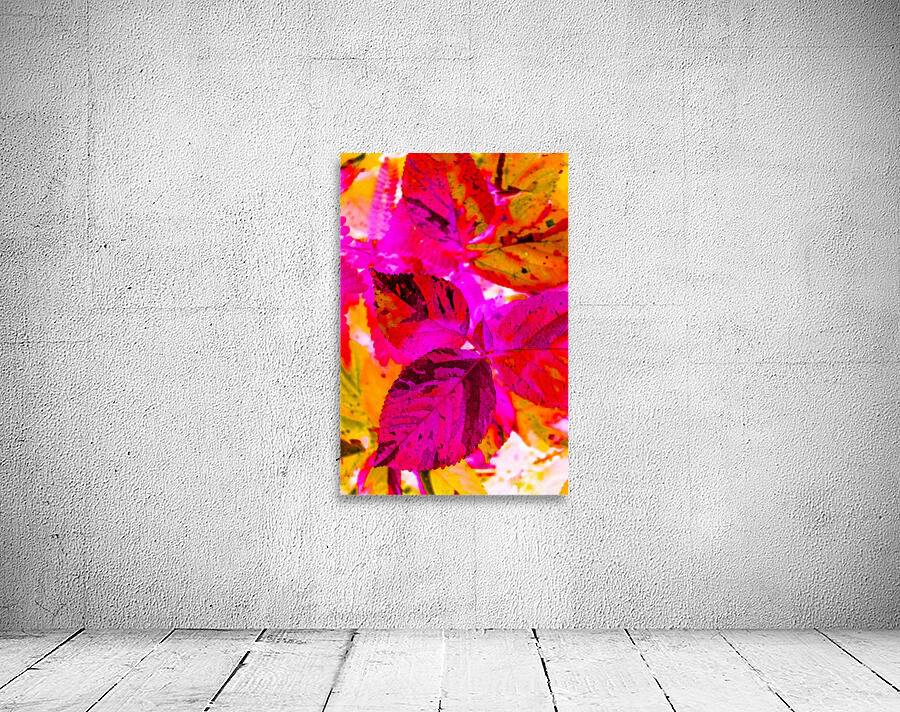 Color cluster Wall Preview