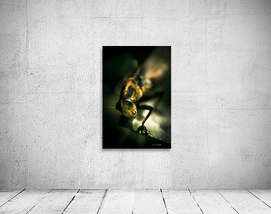 Leaf Bites Wall Preview