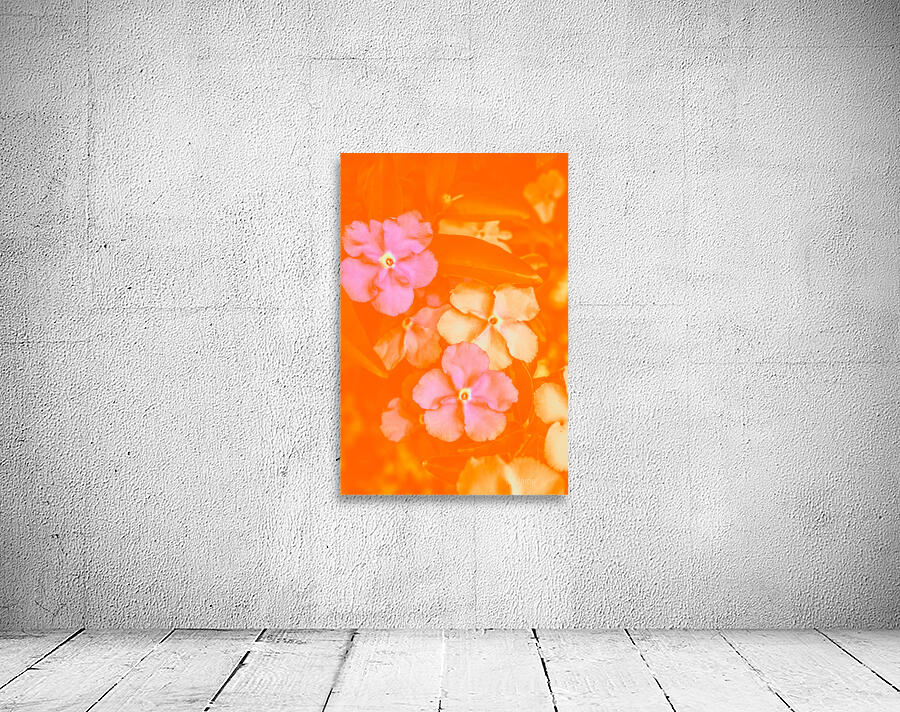 Tropical warmth Wall Preview