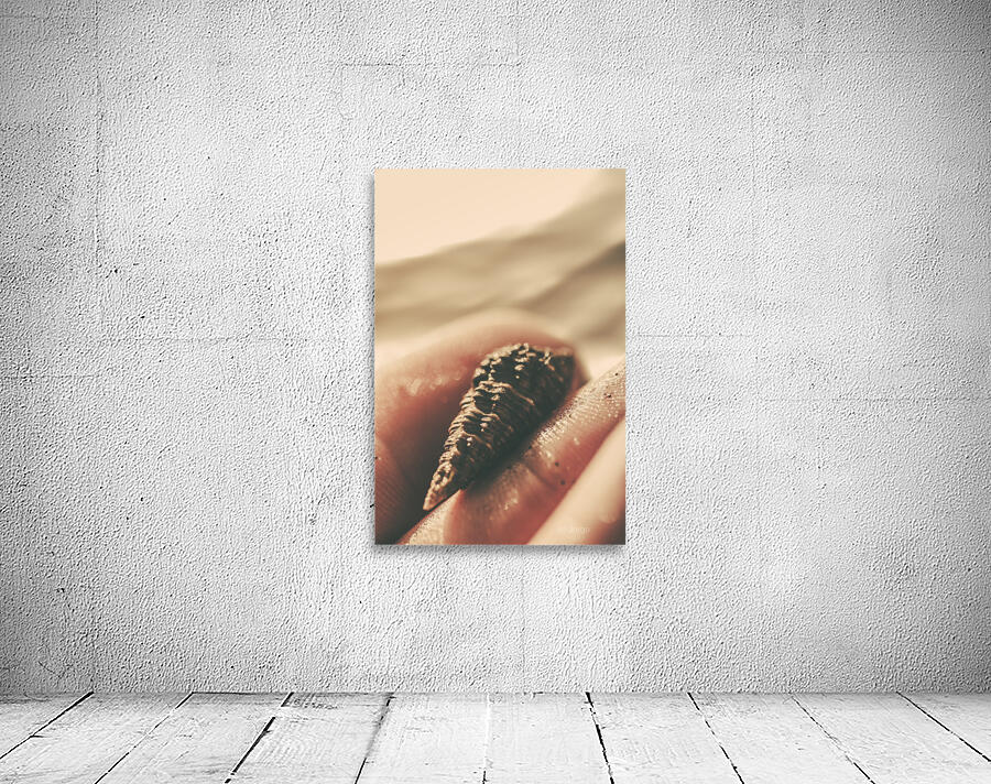 Natures fingerprint Wall Preview