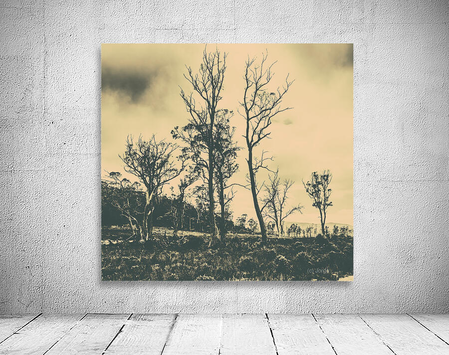 Wild Australian scrublands Wall Preview