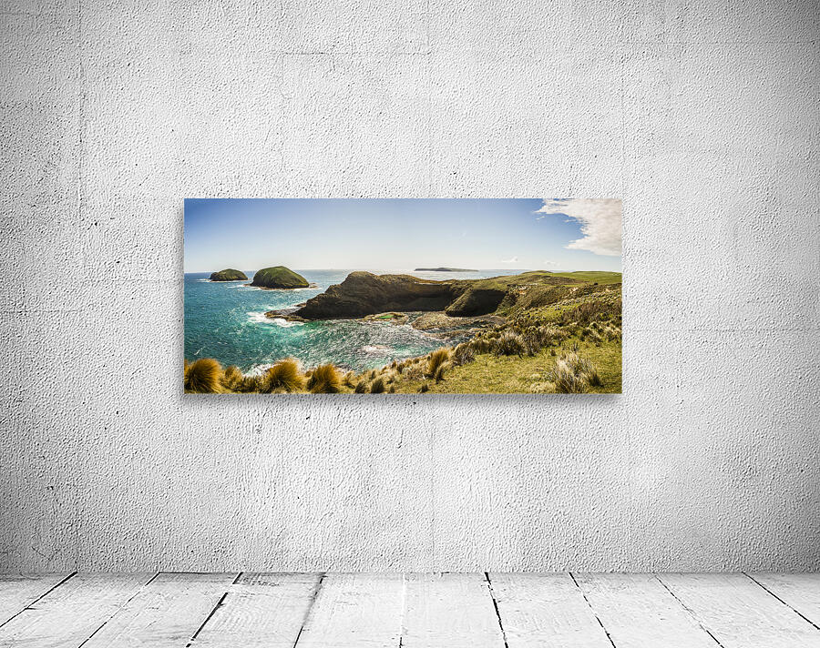 Cape Grim cliff panoramic Wall Preview
