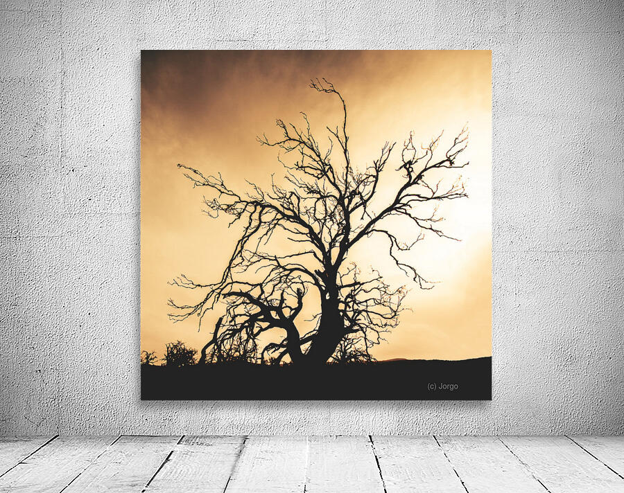 Dead tree silhouette Wall Preview