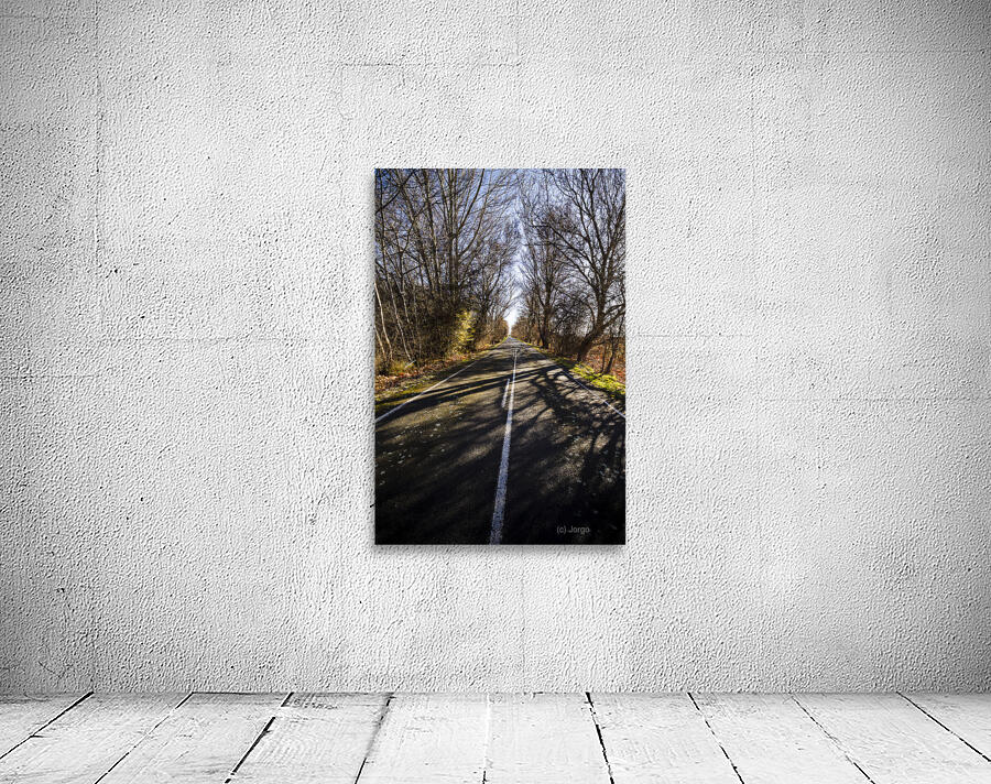 The way to Swansea Wall Preview