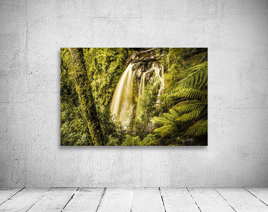 Philosopher Falls Western Tasmania Wall Preview