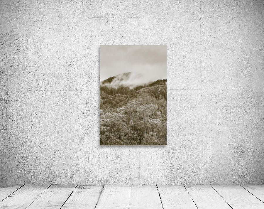 Misty mountains Wall Preview