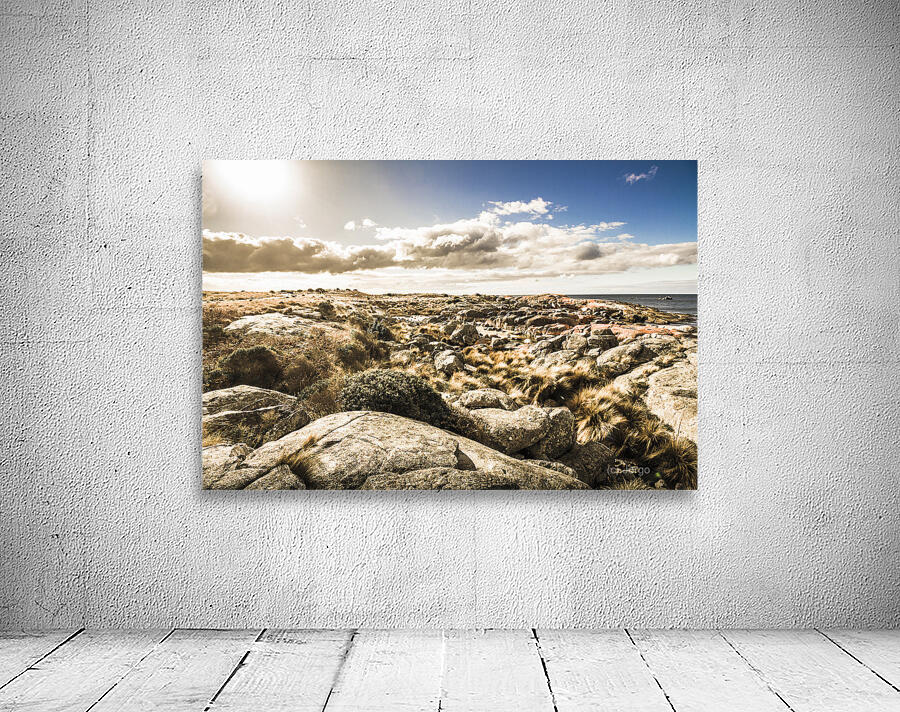 Bay of Fires Tasmania Australia Wall Preview