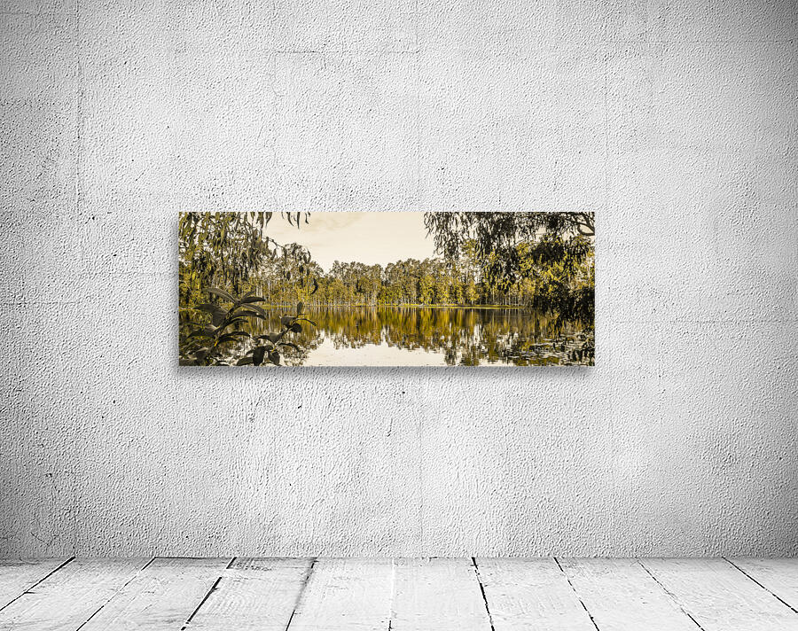 Reflective rivers Wall Preview