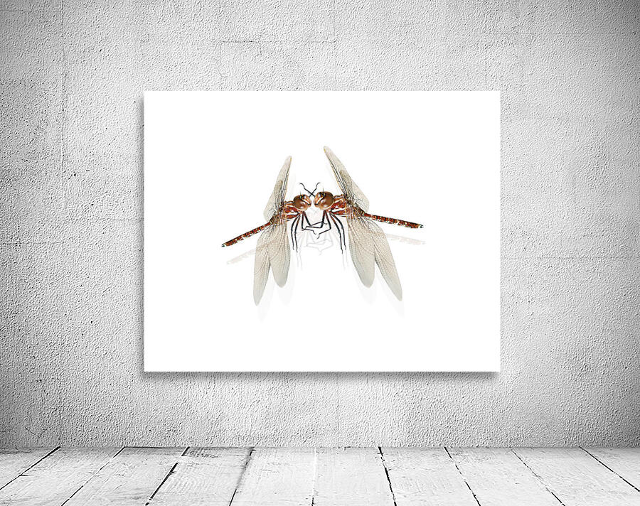 The Great Romanticism Wall Preview