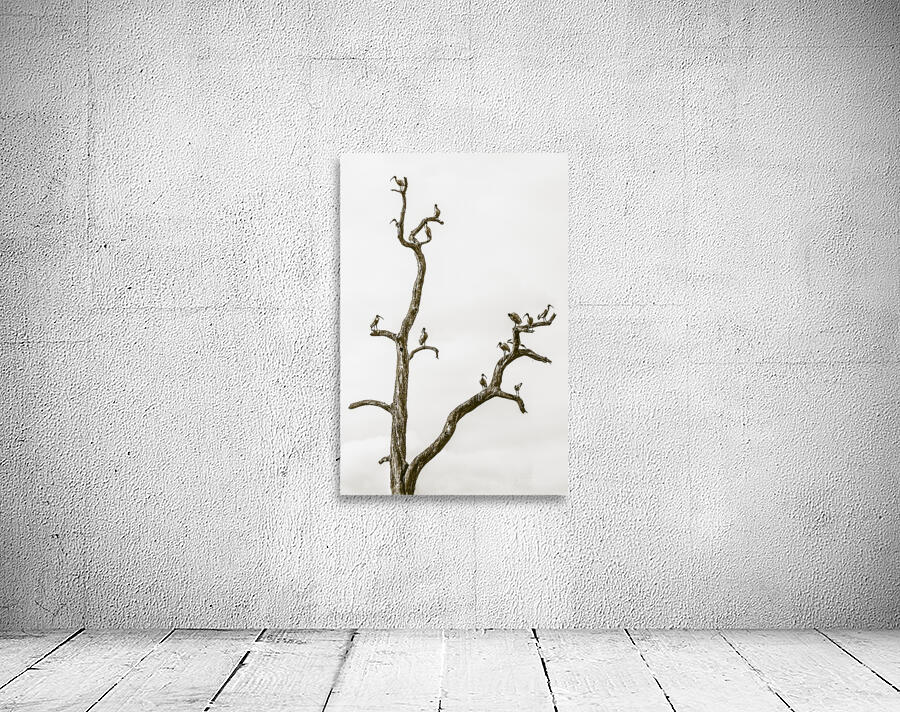 Deadwood Wall Preview