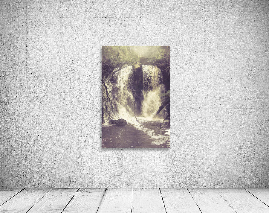 Imaginations wild Wall Preview