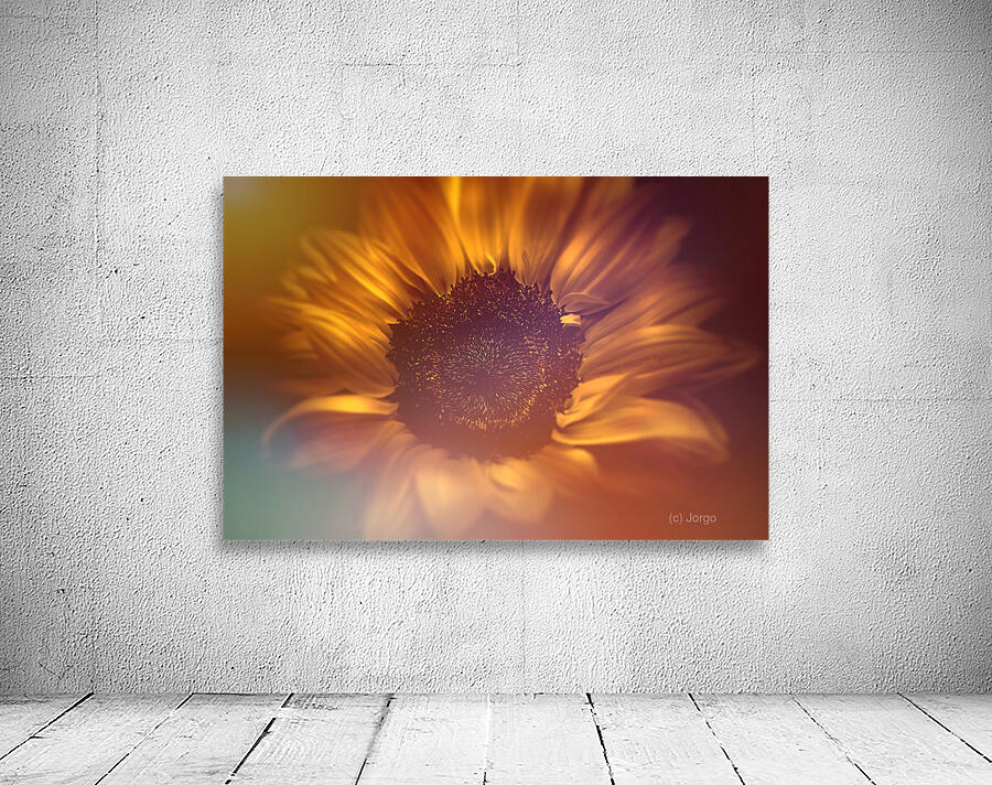 Flower flare Wall Preview