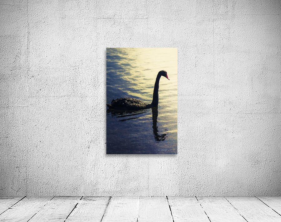 Edge of the wild Wall Preview