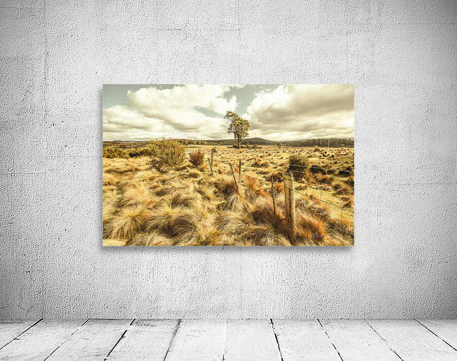 Rugged Australian pastures Wall Preview