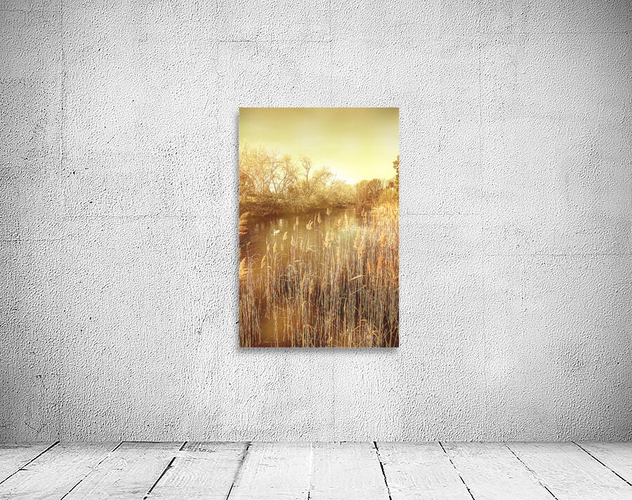 Richmond Tasmania riverscape Wall Preview